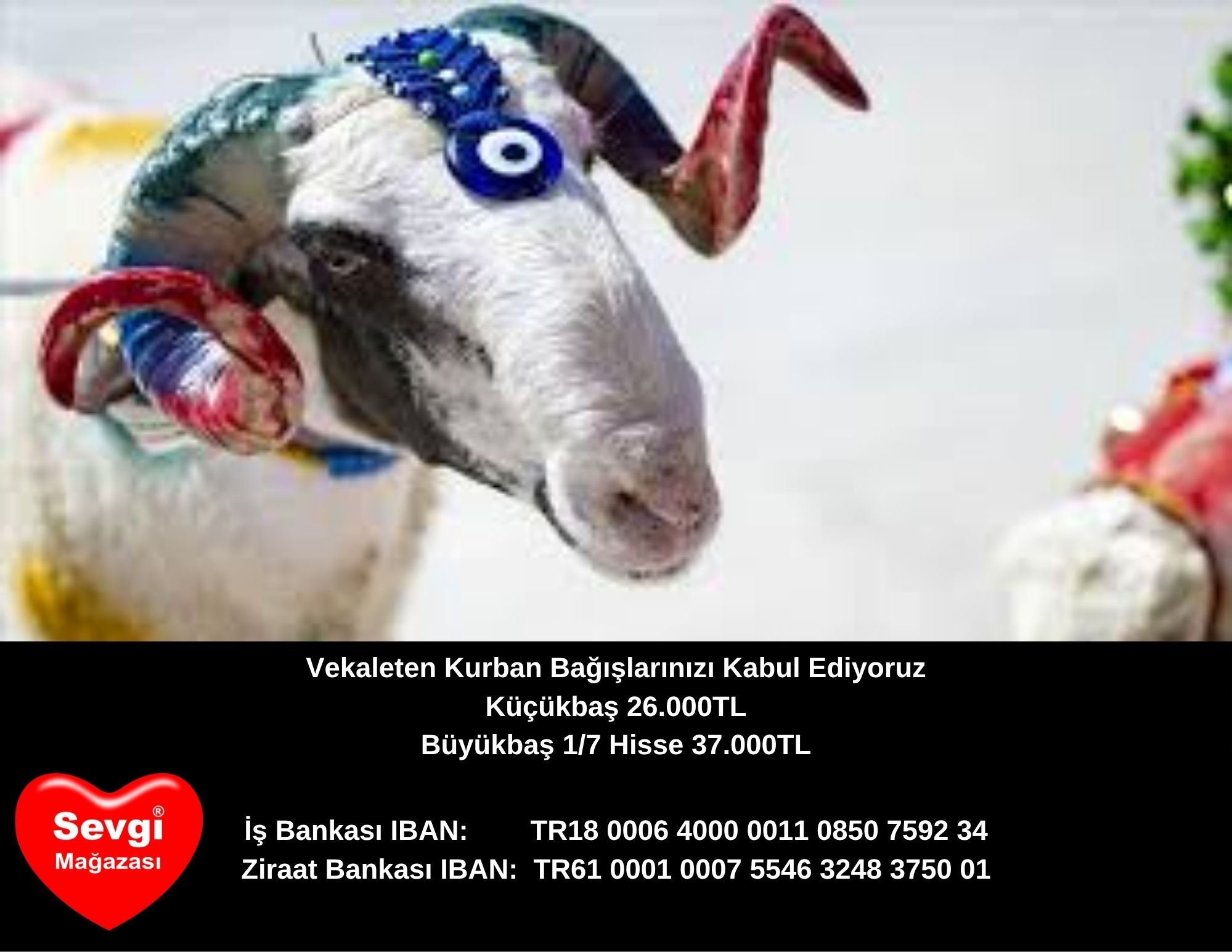 Sevgi Mağazası 2026 Kurban Bağışlarınızı Kabul Ediyor