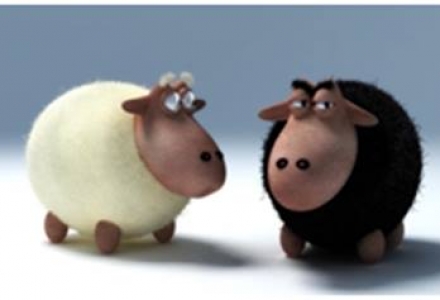 Kurban Bağışlarınızı Yoksullara Dağıtıyoruz Ağustos 2018